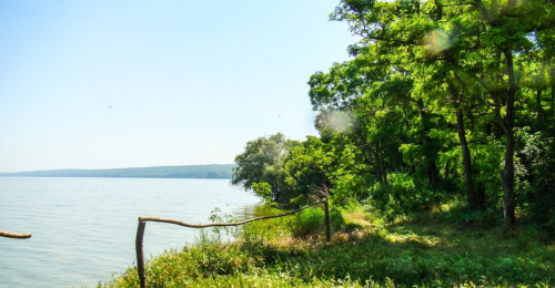 Рибалка на ставку в селі Скельки Запорізької області