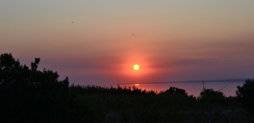 Рибалка на ставку в селі Скельки Запорізької області