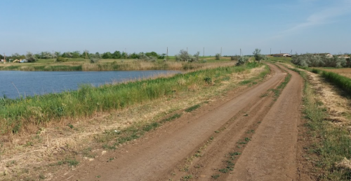 Риболовля на ставку в селі Тихонівка Запорізької області