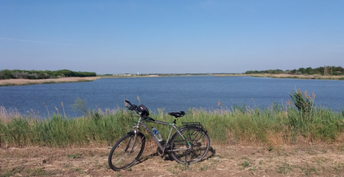 Риболовля на ставку в селі Тихонівка Запорізької області