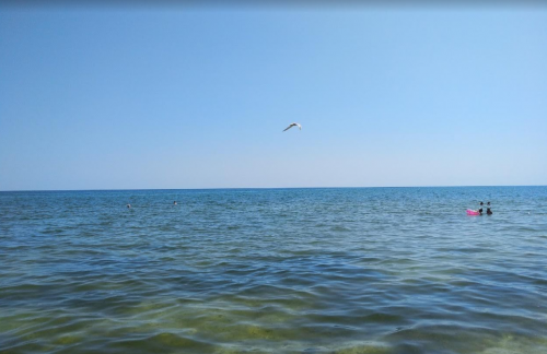 Риболовля на Утлюцькому лимані в Запорізькій області