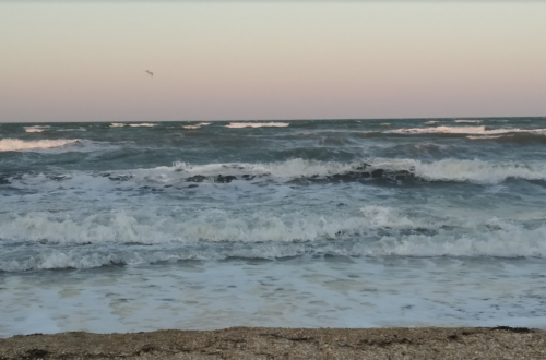 Риболовля на Утлюцькому лимані в Запорізькій області