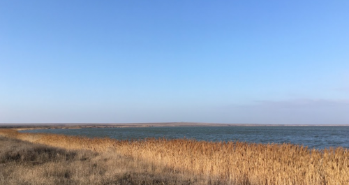 Риболовля на Утлюцькому лимані в Запорізькій області