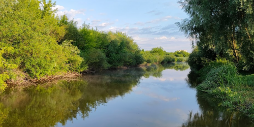 Риболовля на річці Стир 