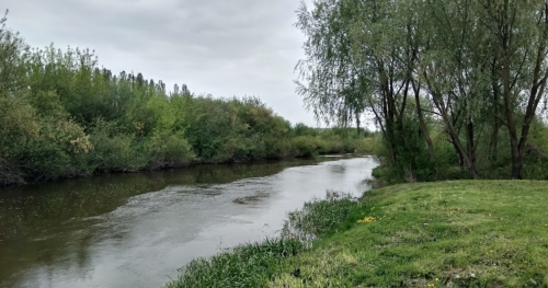 Риболовля на річці Стир 