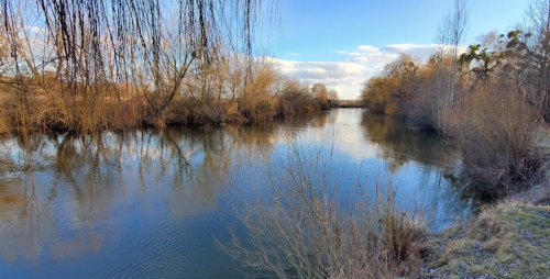 Риболовля на річці Стир 