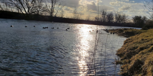 Риболовля на річці Стир 