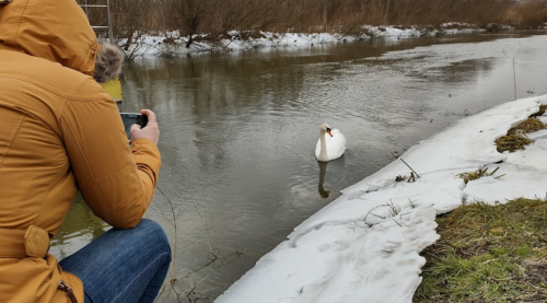 Риболовля на річці Стир 