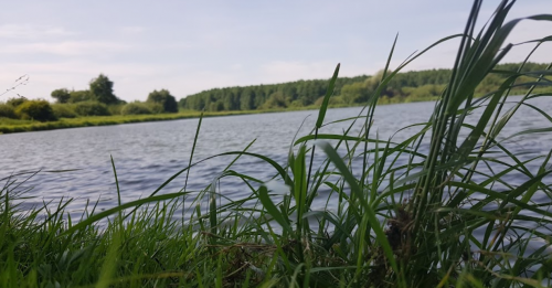 Риболовля біля села Буків: зона відпочинку «Сирники»