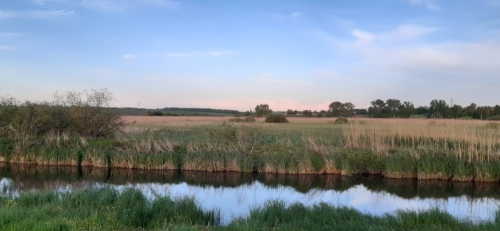 Риболовля біля села Григоровичі Волинської області