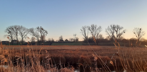 Риболовля біля села Григоровичі Волинської області