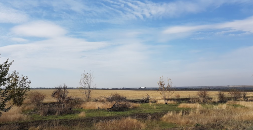 Риболовля в селі Курошани в Запорізькій області