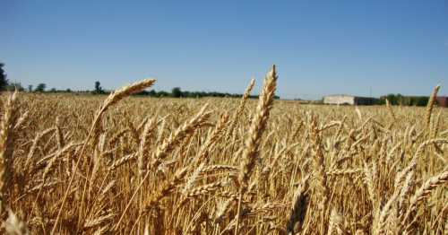 Риболовля в селі Курошани в Запорізькій області