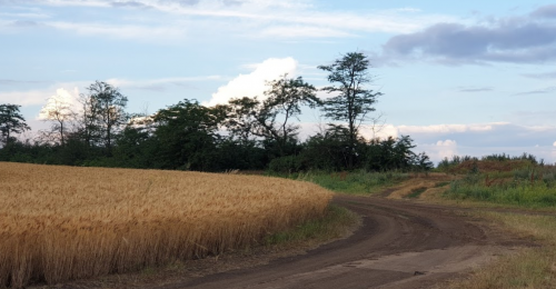 Риболовля в селі Курошани в Запорізькій області