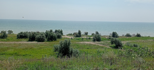 Морська риболовля у селі Азовське в Запорізькій області