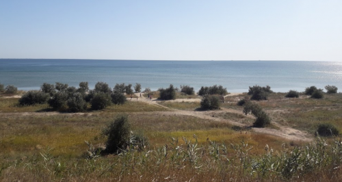 Морська риболовля у селі Азовське в Запорізькій області