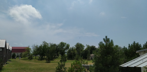 Морська риболовля у селі Азовське в Запорізькій області