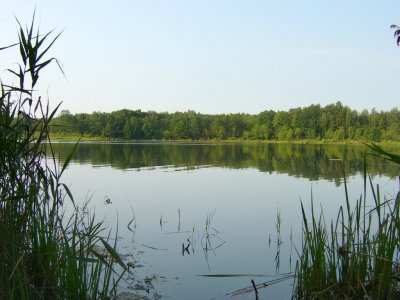 Рибалка біля села Цміни Волинської області