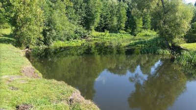 Рибалка біля села Цміни Волинської області