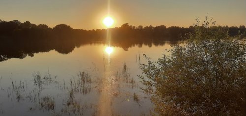 Рибалка біля села Цвижин Вінницької області