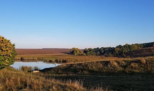 Рибалка біля села Цвижин Вінницької області