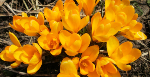 Риболовля в селі Чорнорудка, Житомирської області