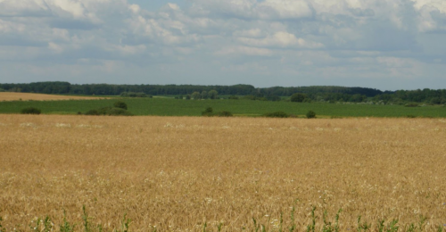 Риболовля в селі Чорнорудка, Житомирської області