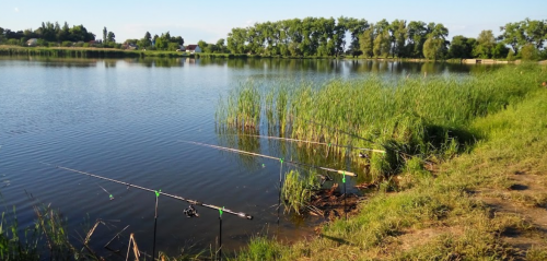 Риболовля на Гадзинському ставку у Житомирській області
