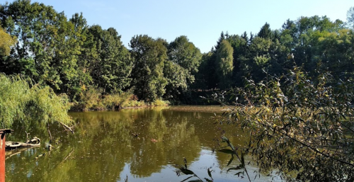 Рибалка у селі Грабівка, Житомирська область