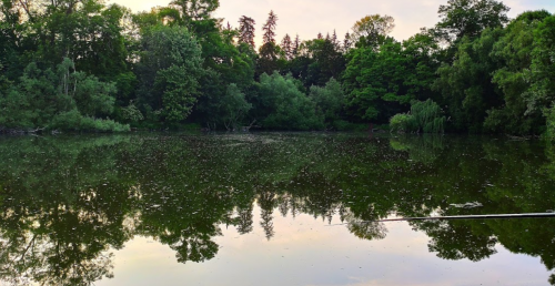 Рибалка у селі Грабівка, Житомирська область