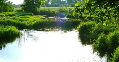 Рибалка у селі Грабівка, Житомирська область