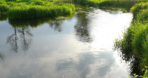 Рибалка у селі Грабівка, Житомирська область