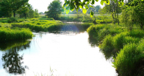 Рибалка у селі Грабівка, Житомирська область
