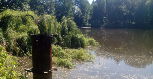 Рибалка у селі Грабівка, Житомирська область