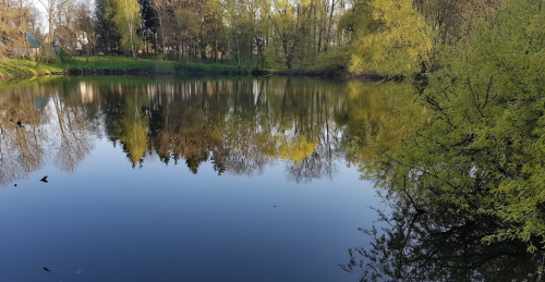 Рибалка у селі Грабівка, Житомирська область