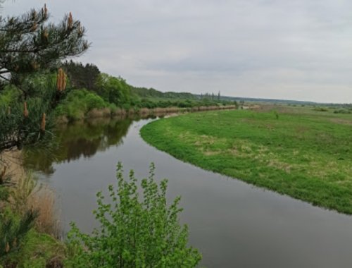 напиши опис про риболовлю на 3 - 5 речень