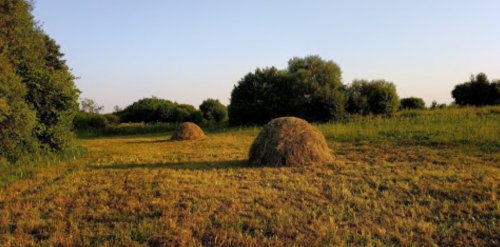 напиши опис про риболовлю на 3 - 5 речень