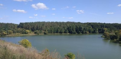 Рибалка на озері у с. Ксаверівка Житомирської області