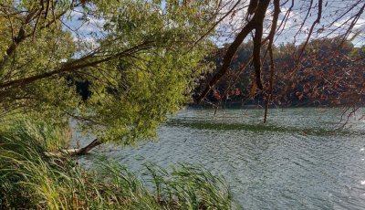 Рибалка на озері у с. Ксаверівка Житомирської області