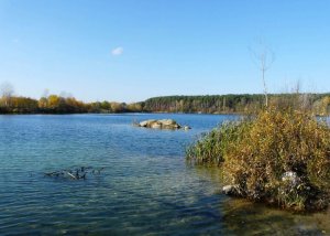 Рибалка на озері у с. Ксаверівка Житомирської області