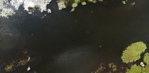 Рибалка в селі Курчиця, Житомирської області