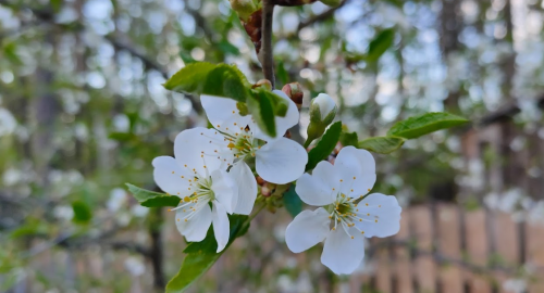 Рибалка на Блакитному озері №2 в Житомирській області