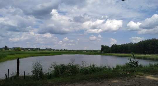 Риболовля в Михайлівці Вінницької області