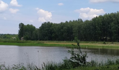 Риболовля в Михайлівці Вінницької області