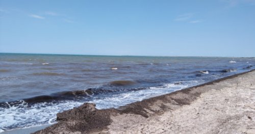 Риболовля в селищі Набережне в Запорізькій області