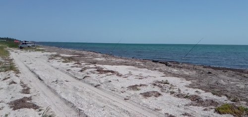 Риболовля в селищі Набережне в Запорізькій області