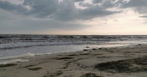 Риболовля в селищі Набережне в Запорізькій області