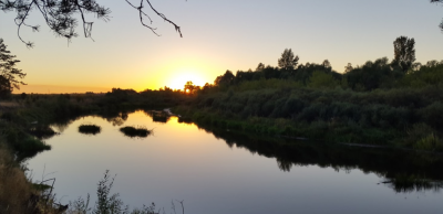 Рибалка на річці Тетерів