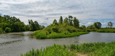 Рибалка на річці Тетерів