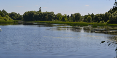 Рибалка на річці Тетерів